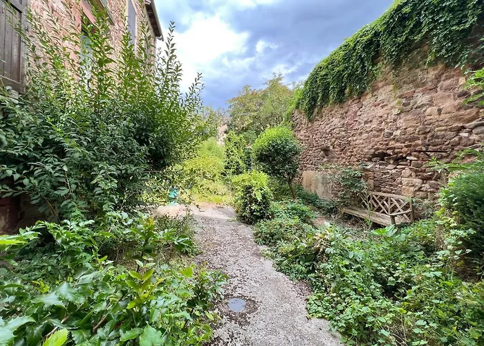 Le Place Du Bourg T2 Centre Historique Appartement